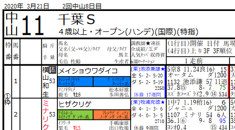 年3月21日系統色分け 競馬新聞風出馬表 血統フェスティバル 競馬予想ブログ