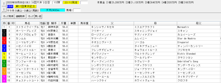 東京記念 大井 予想 本命ホーリーブレイズ 血統フェスティバル 競馬予想ブログ