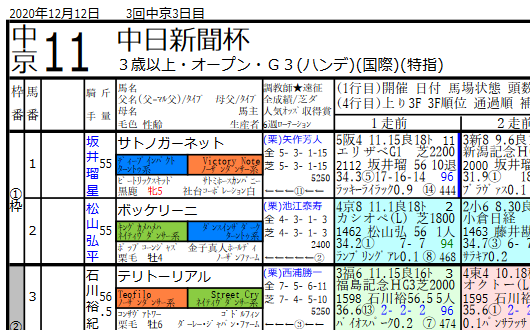 2020年12月12日系統色分け 競馬新聞風出馬表 血統フェスティバル 競馬予想ブログ