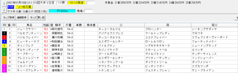 桃花賞2021 大井 予想 本命ミラバーグマン 血統フェスティバル 競馬予想ブログ