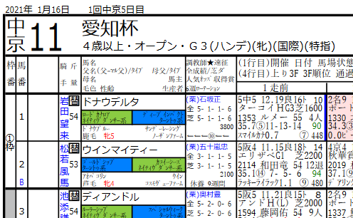 21年1月16日系統色分け 競馬新聞風出馬表 血統フェスティバル 競馬予想ブログ