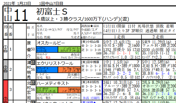 21年1月23日系統色分け 競馬新聞風出馬表 血統フェスティバル 競馬予想ブログ