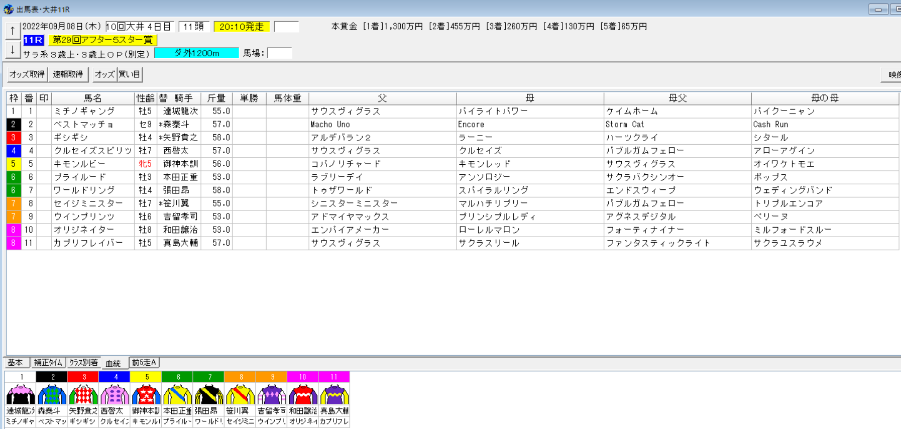 アフター5スター賞22 大井 予想 本命ミチノギャング 血統フェスティバル 競馬予想ブログ
