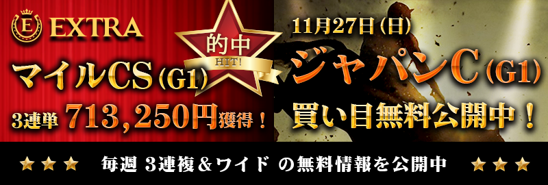 希少セイントリー⭐︎ジャパンカップ現地単勝馬券 - その他