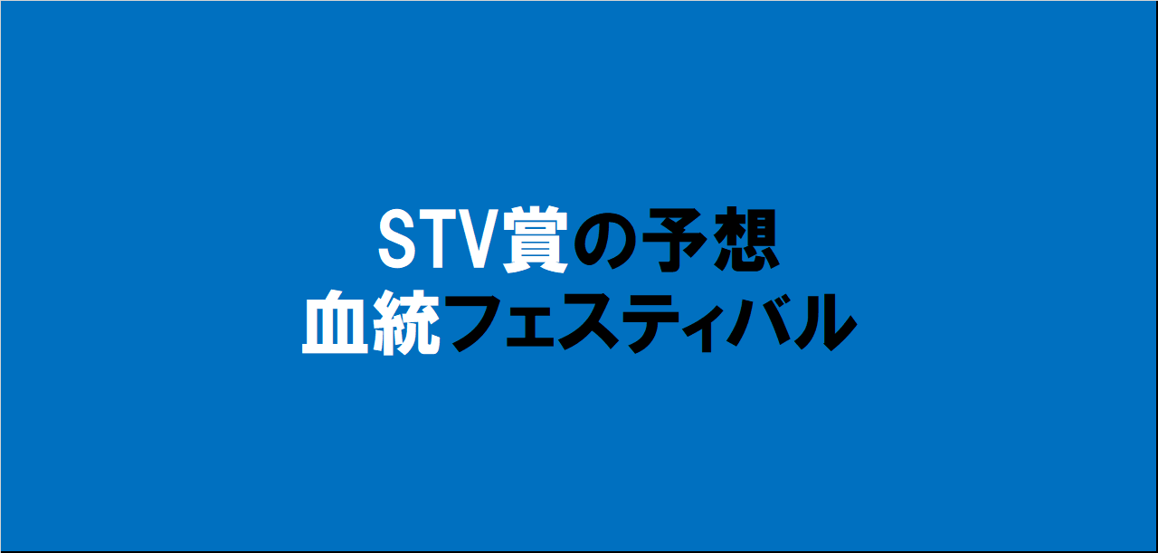 STV賞2024予想