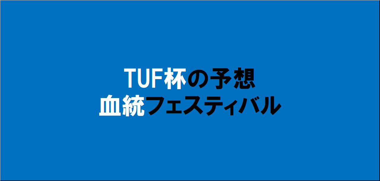 TUF杯2024予想