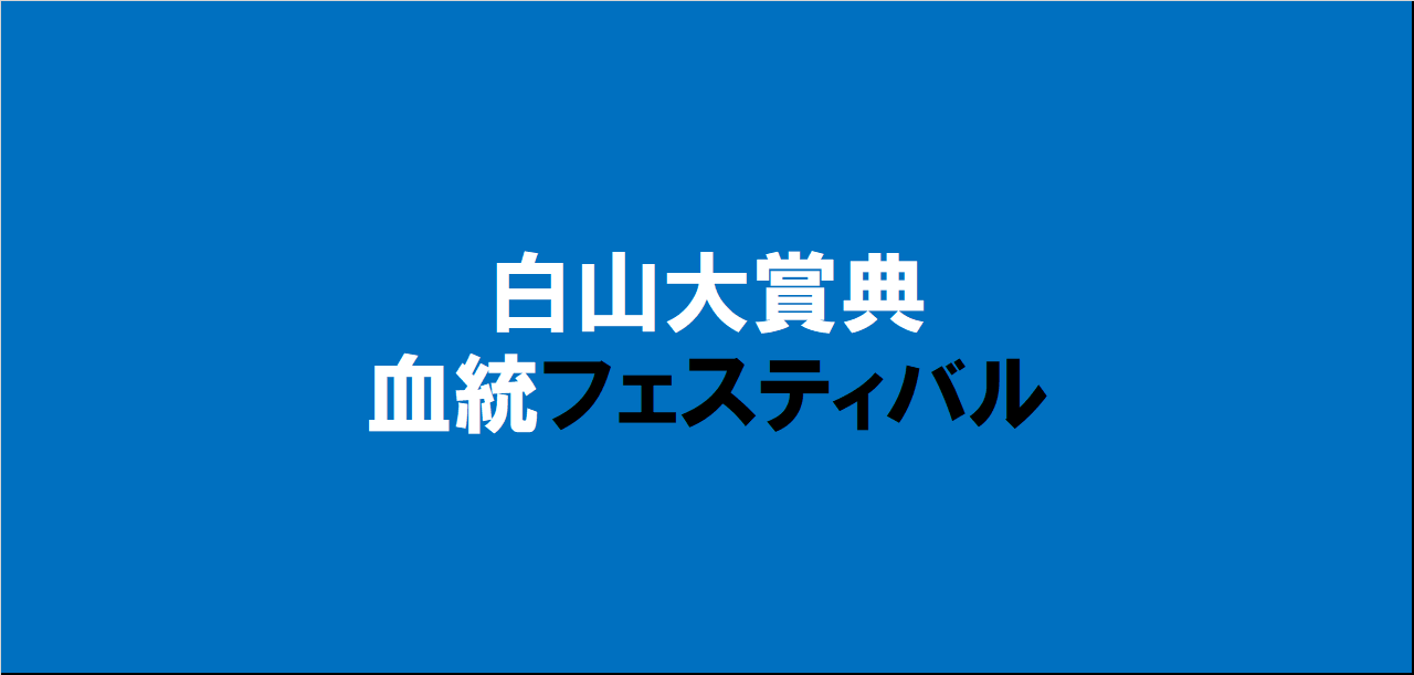 白山大賞典2024予想