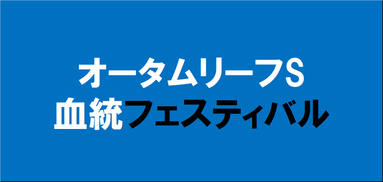 オータムリーフステークス2024予想