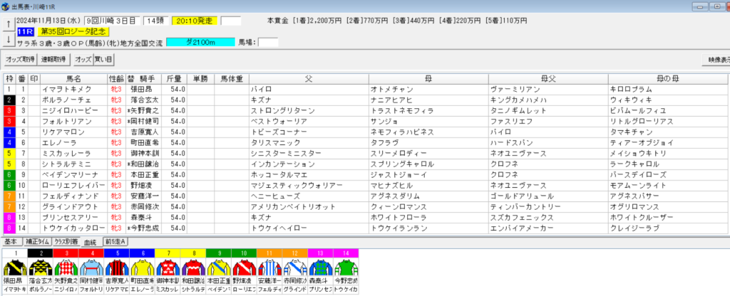 2024年11月13日川崎ロジータ記念予想出馬表