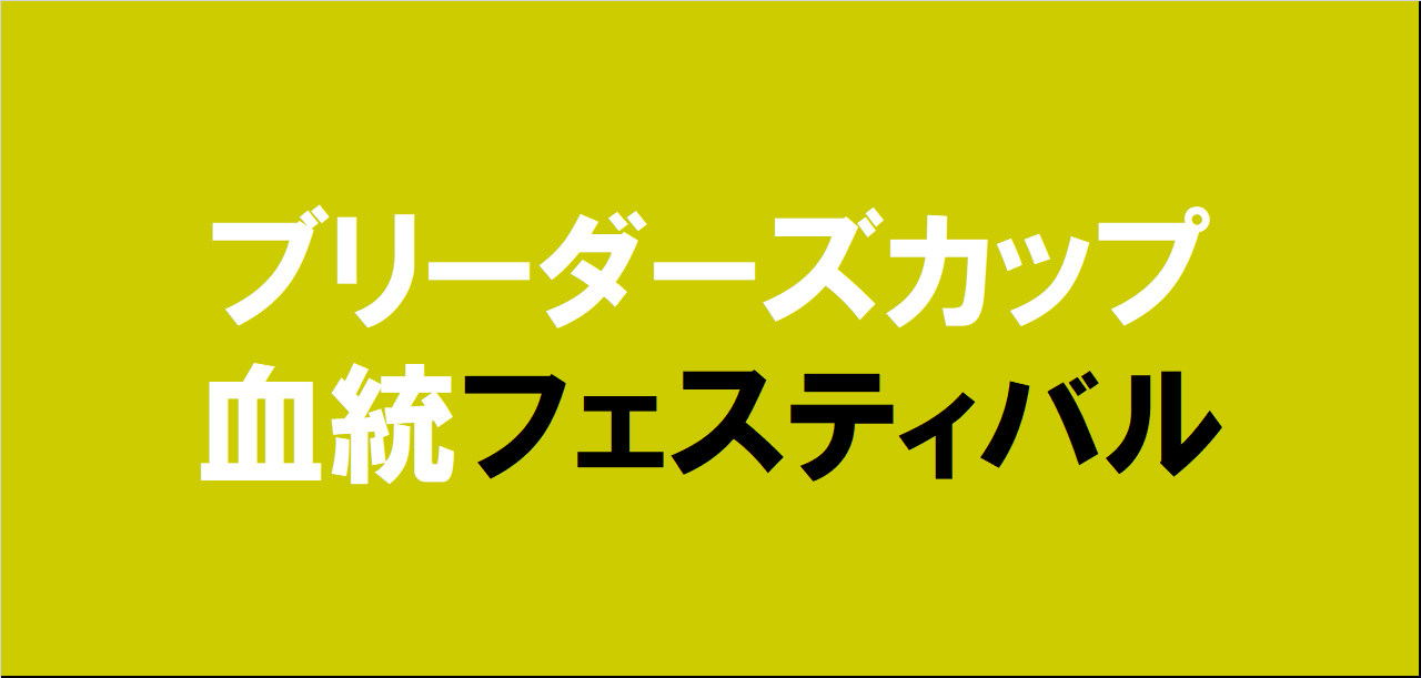 ブリーダーズカップ2024予想