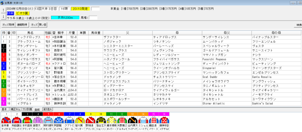 2024年12月3日大井ビオラ賞予想出馬表