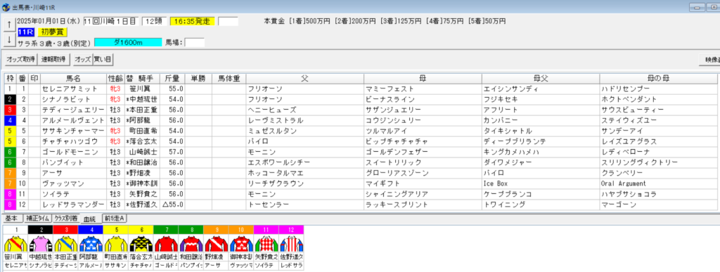 2025年1月1日川崎初夢賞予想出馬表