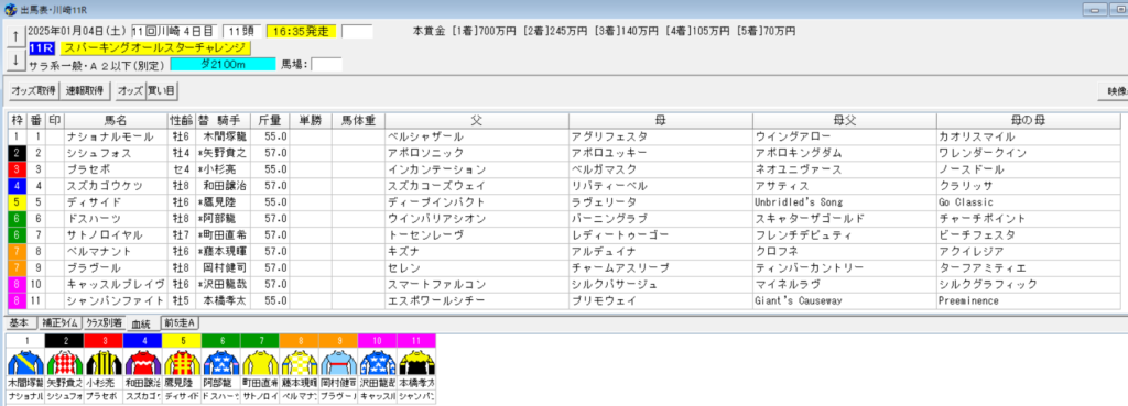 2025年1月4日川崎スパーキングオールスターチャレンジ予想出馬表