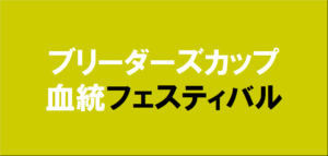 ブリーダーズカップ2025予想
